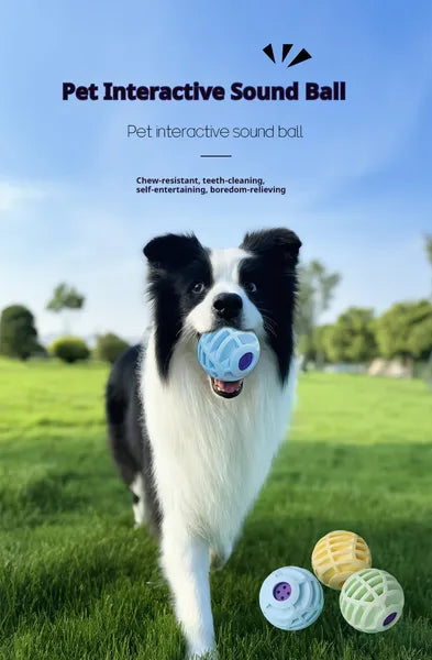 TrainPro Remote Dog Training Toy - Durable Play Ball